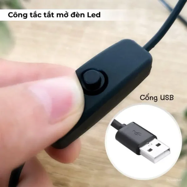 Tranh đèn LED 3D in hình